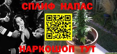 молекула духа Кунгур