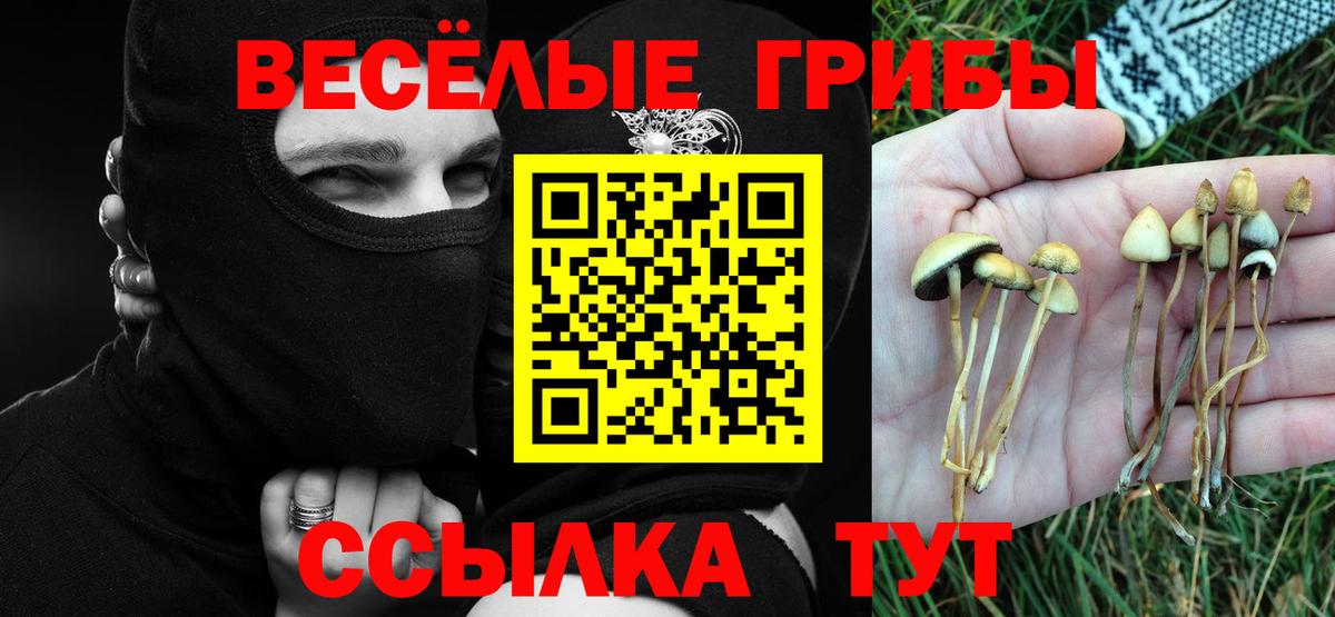 Елабуга  Галлюциногенные грибы Cubensis  Псилоцибиновые грибы GOLDEN TEACHER  Вход с VPN 